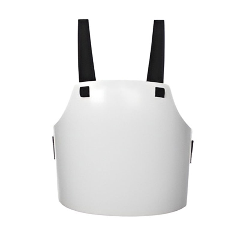 chest protector 2